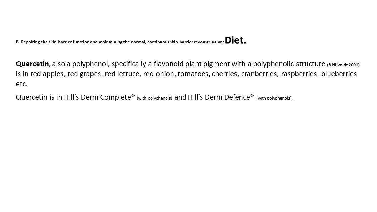 Pruritic_Dog_Webinar_Slide_56.jpg